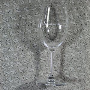 Riedel "Accelerate Good Times, Come on!" 9” Wine Glass
